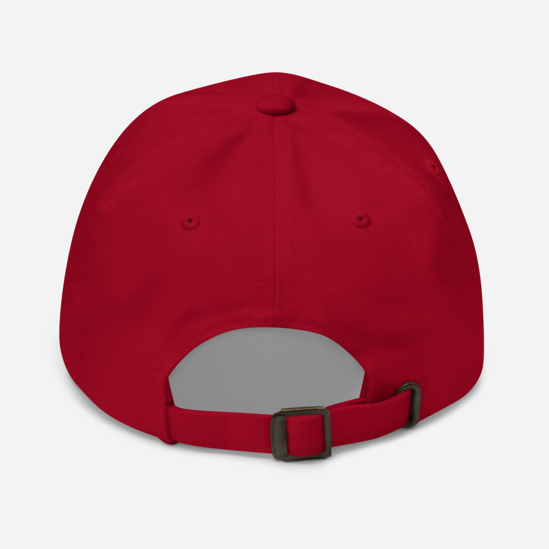 HCW Dad hat - Image 19