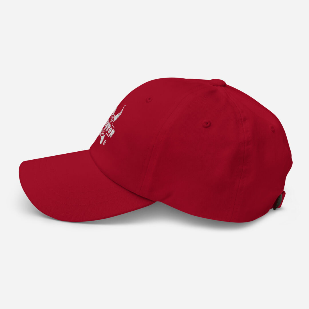 HCW Dad hat - Image 16